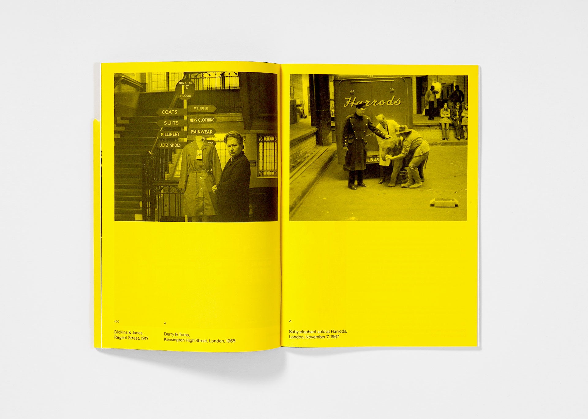 To Have & To Hold — Issue 4: Department Stores